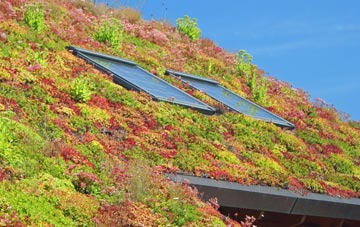 Ruishton living roof systems
