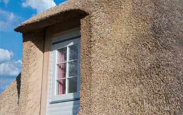 Ruishton thatch roof disadvantages