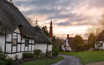 is Ruishton thatch roofing popular