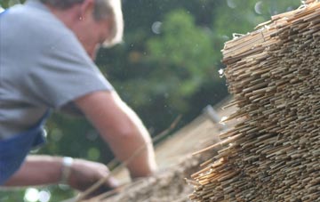 professional Ruishton thatchers